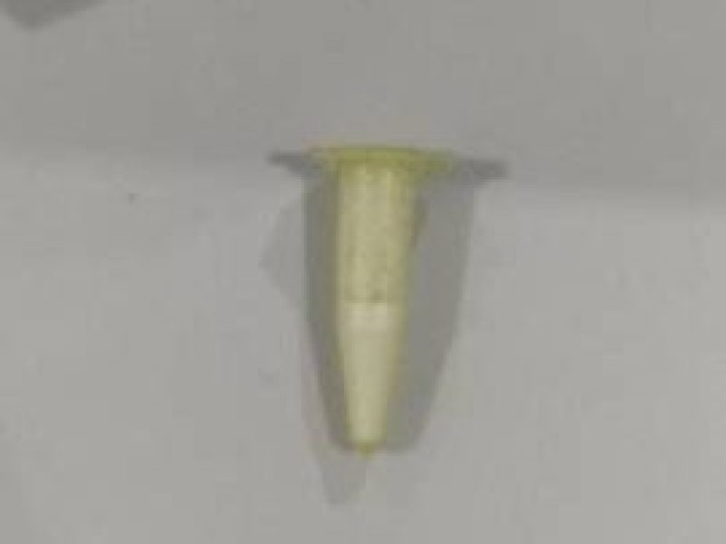 WhatsApp Image 2025-11-15 at 08.17.04