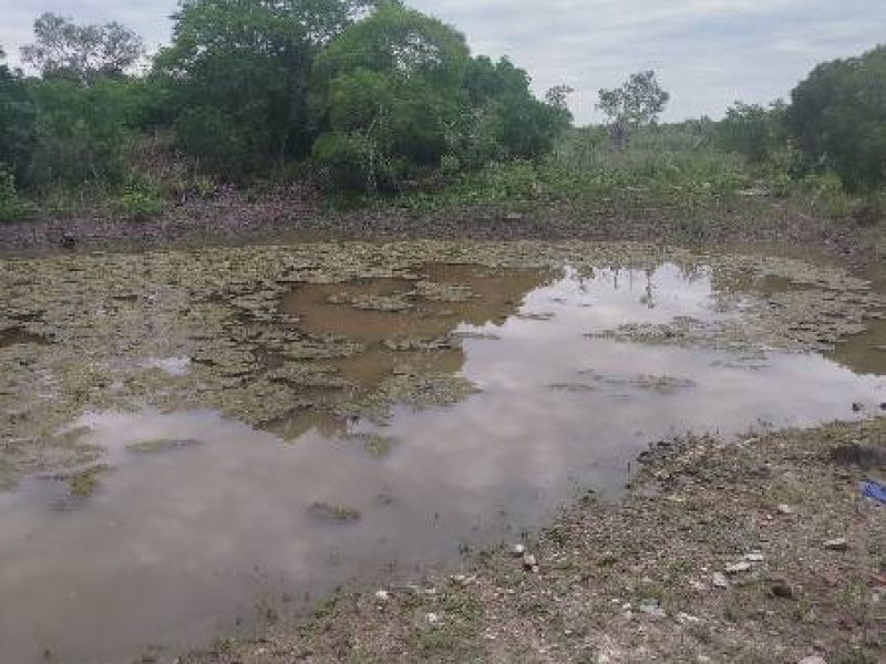 WhatsApp Image 2025-11-21 at 09.59.09 (7)