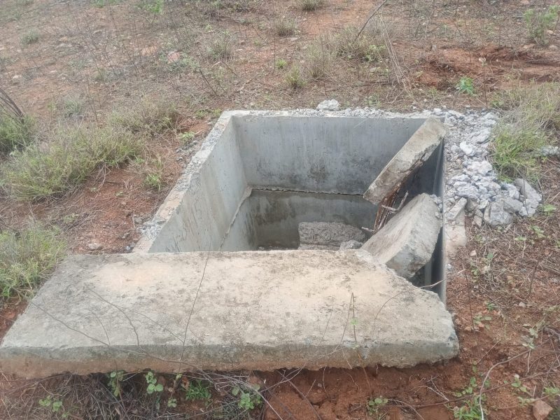 WhatsApp Image 2025-11-22 at 11.22.26