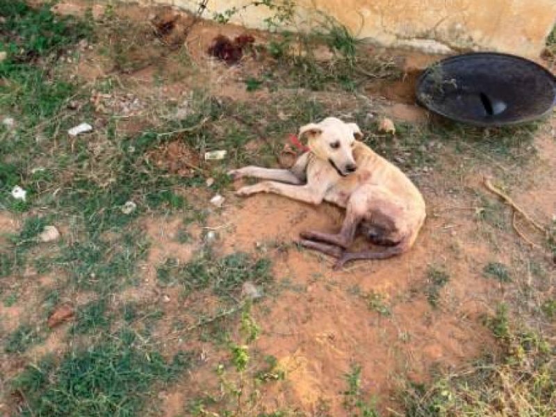 WhatsApp Image 2025-12-03 at 09.49.32