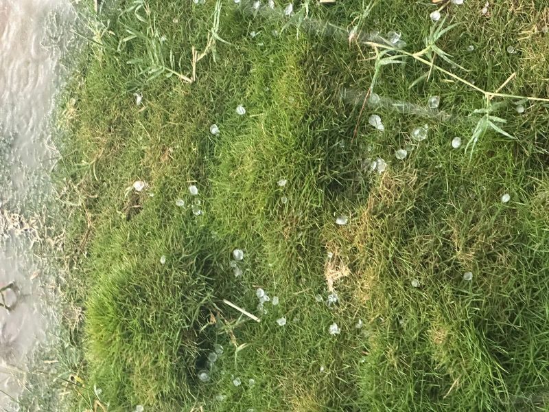 WhatsApp Image 2026-01-05 at 18.53.19