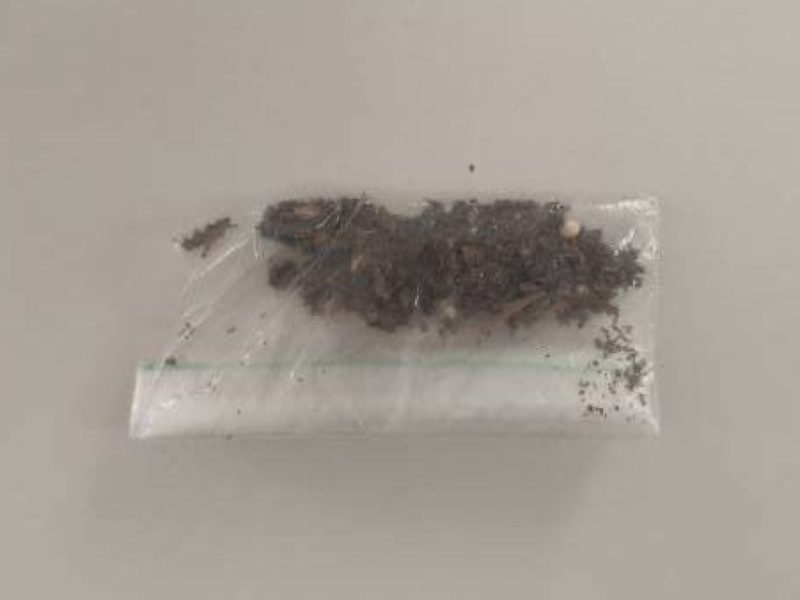 WhatsApp Image 2026-01-13 at 17.39.13