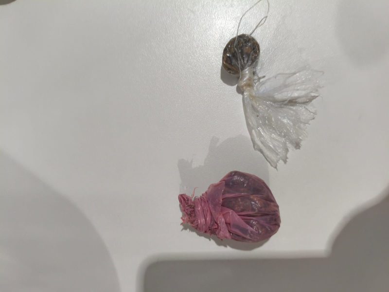 WhatsApp Image 2026-01-25 at 09.17.00