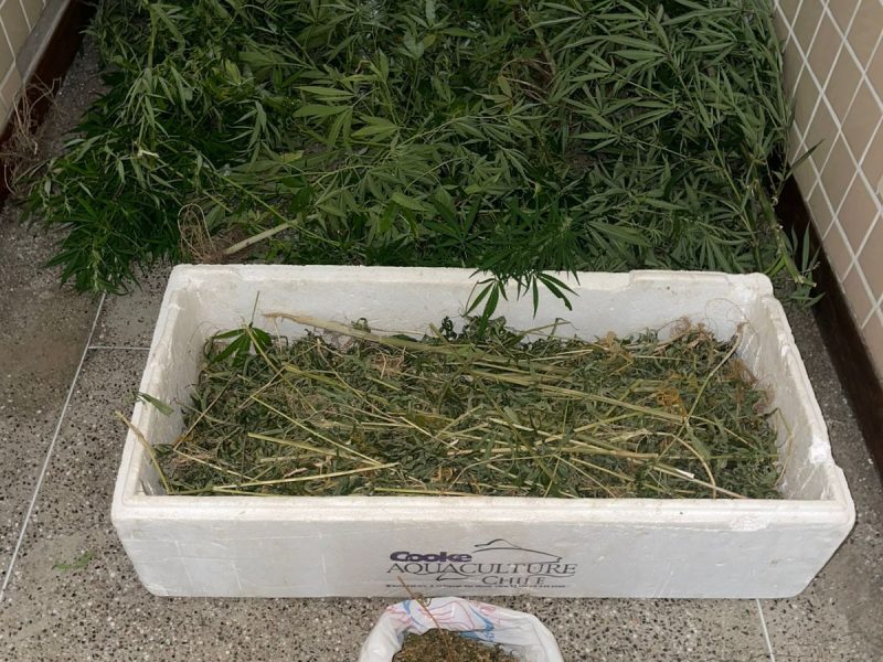 WhatsApp Image 2026-01-26 at 07.40.41