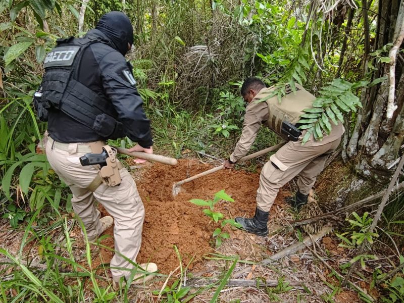 WhatsApp Image 2026-01-28 at 15.29.35