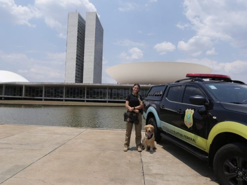 WhatsApp Image 2026-02-23 at 14.31.00