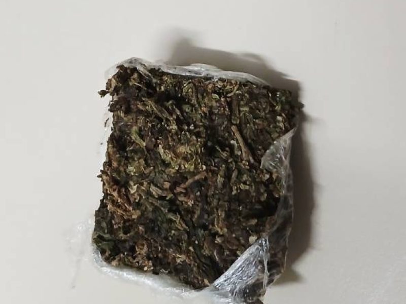 WhatsApp Image 2026-02-27 at 10.03.26