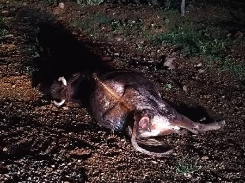 WhatsApp Image 2026-03-02 at 14.45.51