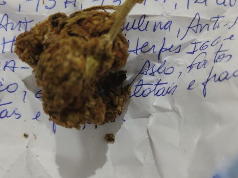 WhatsApp Image 2026-03-15 at 09.23.17