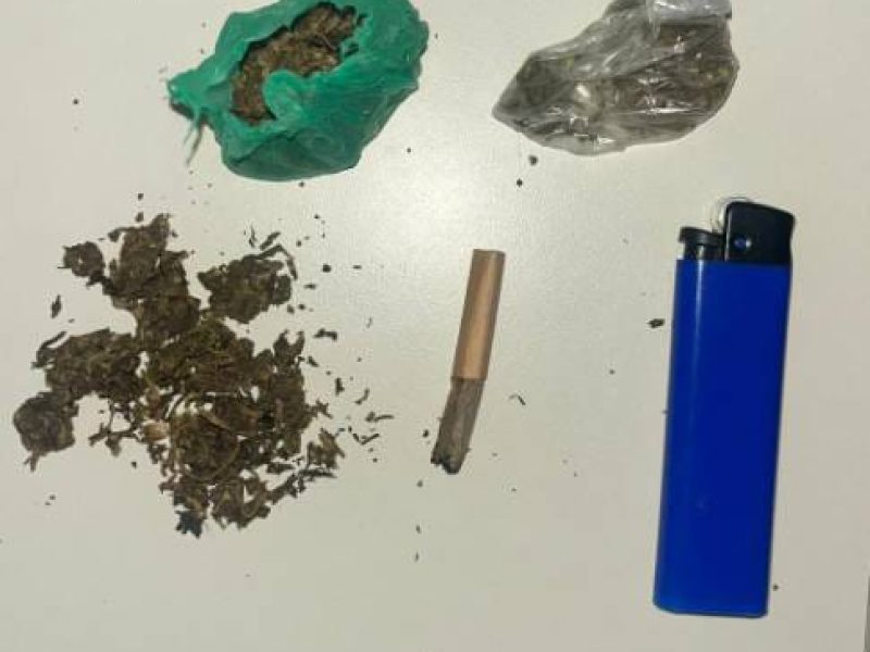 WhatsApp Image 2026-03-19 at 07.20.18