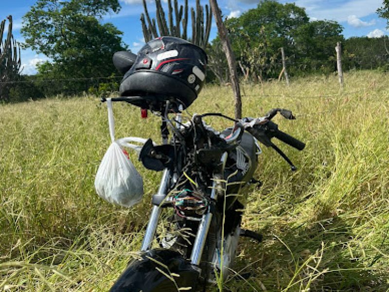 WhatsApp Image 2026-03-25 at 15.24.16