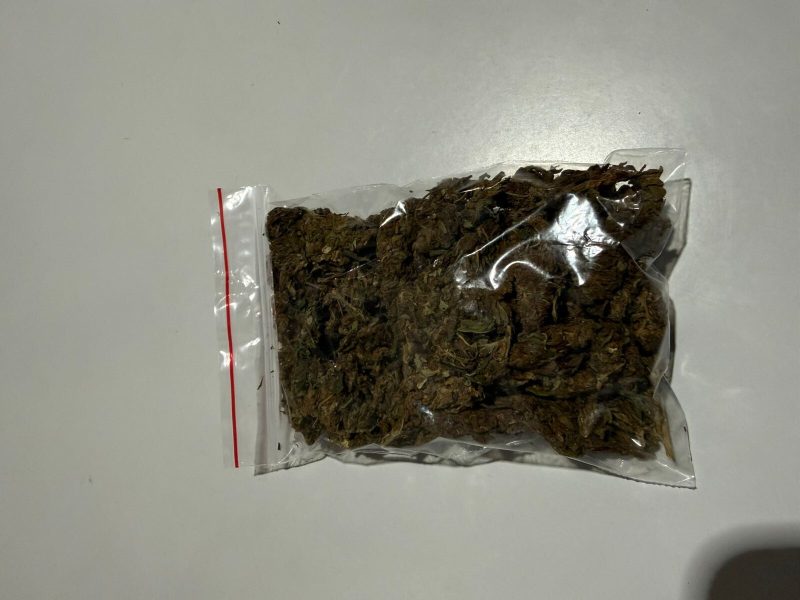 WhatsApp Image 2026-03-27 at 08.57.44