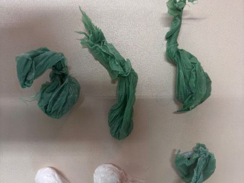 WhatsApp Image 2026-04-17 at 11.36.37