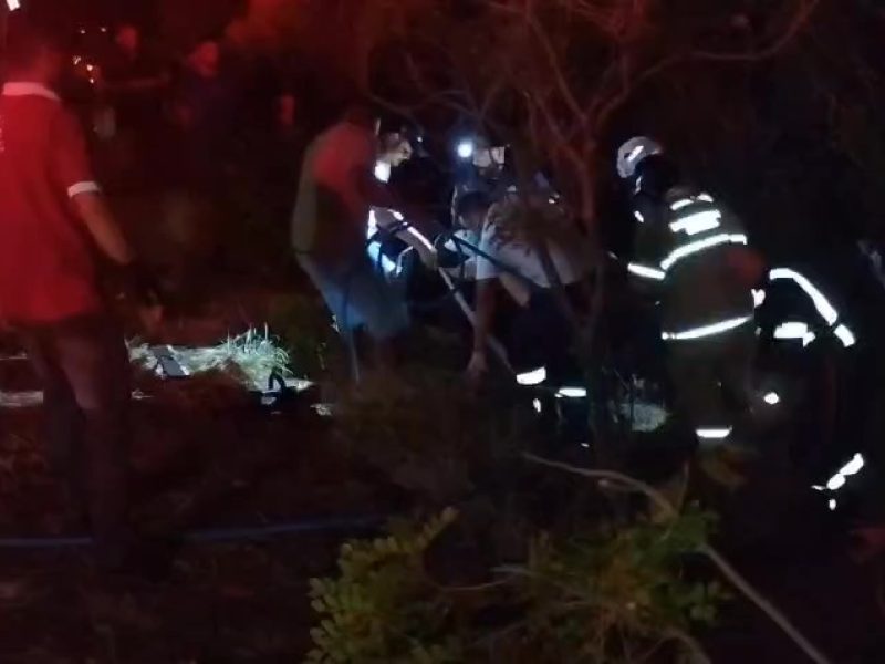 WhatsApp Video 2026-02-18 at 23.15.04 - frame at 0m0s