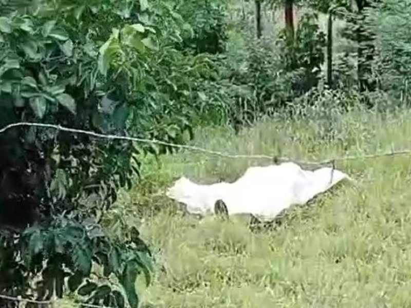 WhatsApp Video 2026-04-04 at 13.14.37 - frame at 0m1s