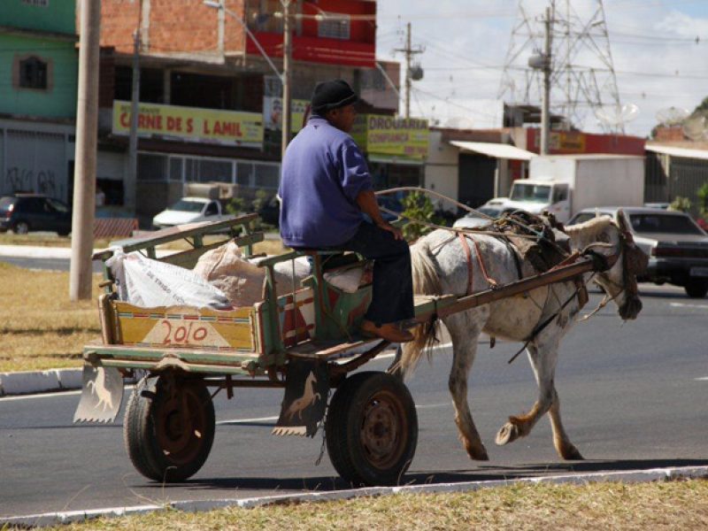 carroceiros