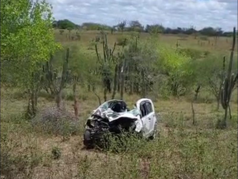 colisao-entre-veiculo-de-passeio-e-cavalo-e-registrado-na-br-116-norte-em-serrinha-66a94