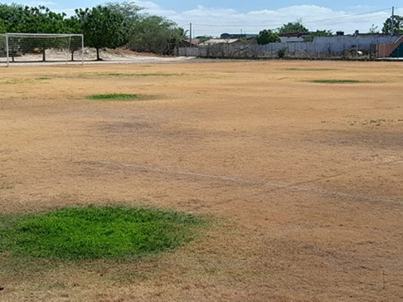 estadio2