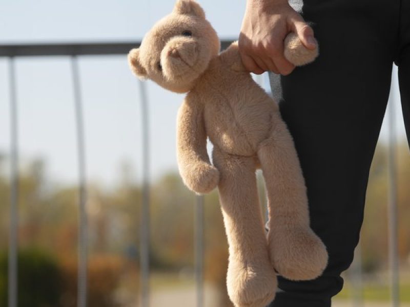 front-view-kid-holding-teddy-bear-outdoors_widelg