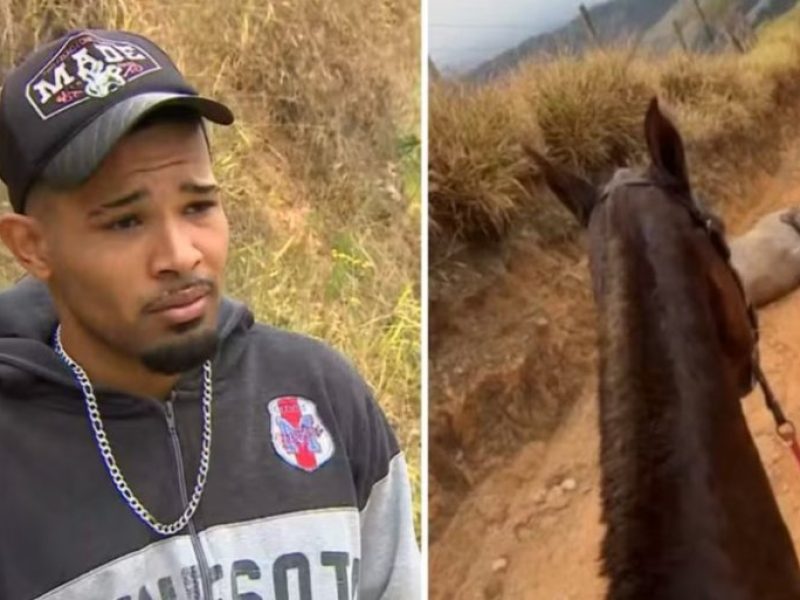 image_870x_68a5cd9a49c77