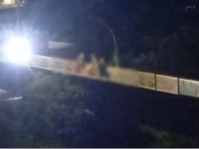 passarela-orgia_widelg