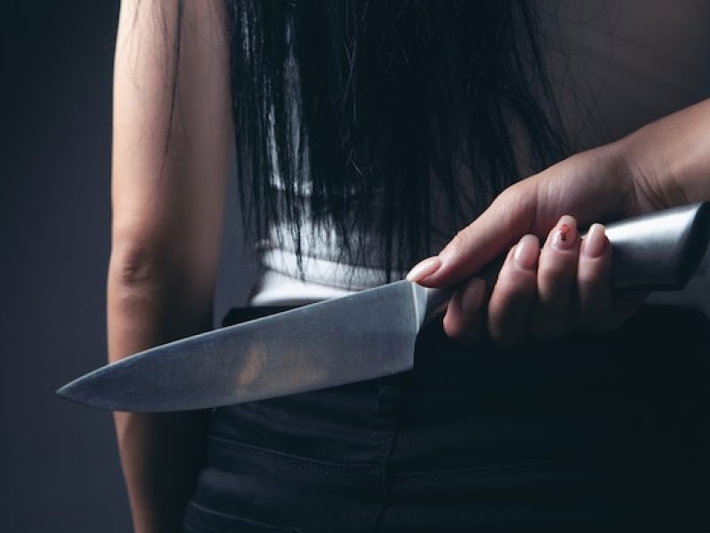 woman-holding-knife-from_391052-4145
